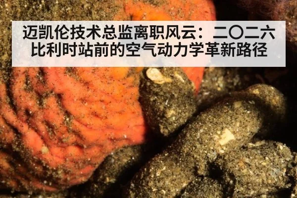 迈凯伦技术总监离职风云：二〇二六比利时站前的空气动力学革新路径